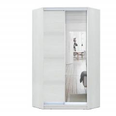 Шкаф-купе ХИТ-У-L-24-64-15 в Урае - uray.mebel24.online | фото