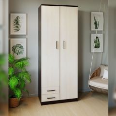 Шкаф распашной ПШ-3.9 в Урае - uray.mebel24.online | фото 3
