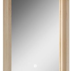 Шкаф-зеркало Nice 45 с подсветкой Домино (DN4704HZ) в Урае - uray.mebel24.online | фото 1