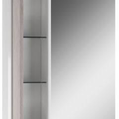 Шкаф-зеркало Uno 60 Дуб серый левый/правый Домино (DU1503HZ) в Урае - uray.mebel24.online | фото 3