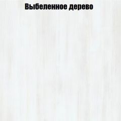 Вешалка V2 в Урае - uray.mebel24.online | фото 4