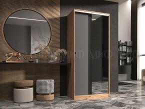 АЛЬЯНС Шкаф-купе 1,0 в Урае - uray.mebel24.online | фото