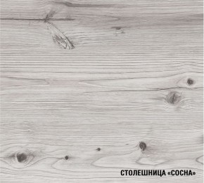 АСАЯ Кухонный гарнитур Экстра 2 (3000 мм) ПМ в Урае - uray.mebel24.online | фото 8