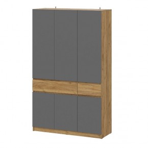АВИНЬОН Прихожая Шкаф 3-х створчатый с ящиками в Урае - uray.mebel24.online | фото