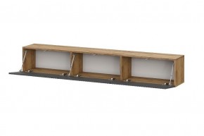 БАЙКАЛ Тумба (Графит/Дуб золотой) в Урае - uray.mebel24.online | фото 2