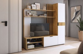 БЕРИ К1 Гостиная в Урае - uray.mebel24.online | фото