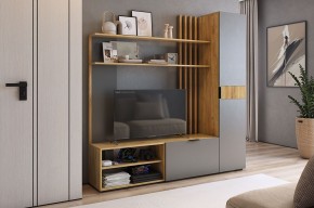 БЕРИ К1 Гостиная в Урае - uray.mebel24.online | фото 2