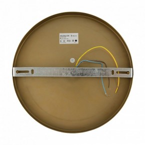 Бра Freya Zelda FR5125WL-01BS в Урае - uray.mebel24.online | фото 6