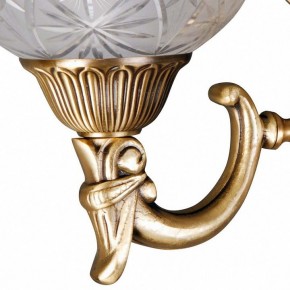 Бра MW-Light Афродита 2 317021902 в Урае - uray.mebel24.online | фото 5
