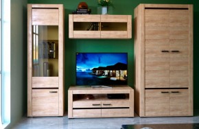 БЬЯНКА НКМ Гостинная (модульная) дуб баррик в Урае - uray.mebel24.online | фото 1