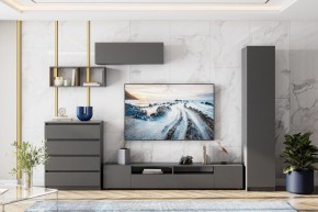 ДЕНВЕР Гостиная (Варианнт-1) Графит серый в Урае - uray.mebel24.online | фото