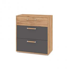 ФЛОРИДА Гостиная (модульная) дуб золотой/графит в Урае - uray.mebel24.online | фото 8