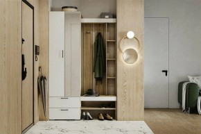 Гарнитур для прихожей Торонто в Урае - uray.mebel24.online | фото 5