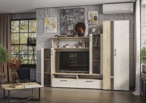 Гостиная Эмма (Дуб Крафт серый/белый) в Урае - uray.mebel24.online | фото