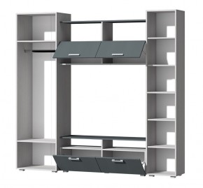 Гостиная Эмми (Анкор светлый/Графит) в Урае - uray.mebel24.online | фото 3