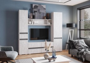 Гостиная Мрия (композиция №1) Бетон пайн светлый/Графит в Урае - uray.mebel24.online | фото