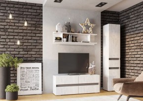 Гостиная Мрия (композиция №3) Бетон пайн светлый/Графит в Урае - uray.mebel24.online | фото