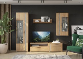 Гостиная Омега (Крафт золотой-Бетон) в Урае - uray.mebel24.online | фото