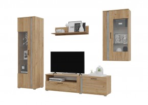 Гостиная Омега (Крафт золотой-Бетон) в Урае - uray.mebel24.online | фото 2