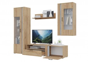 Гостиная Омега (Крафт золотой-Бетон) в Урае - uray.mebel24.online | фото 4
