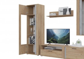 Гостиная Омега (Крафт золотой-Бетон) в Урае - uray.mebel24.online | фото 5