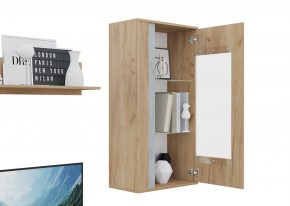 Гостиная Омега (Крафт золотой-Бетон) в Урае - uray.mebel24.online | фото 6