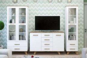 Гостиная Вега Скандинавия (комплект 1) в Урае - uray.mebel24.online | фото