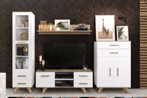 Гостиная Вега Скандинавия (комплект 2) в Урае - uray.mebel24.online | фото