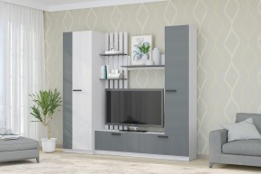 Гостиная Юджи (Анкор светлый/Графит) в Урае - uray.mebel24.online | фото
