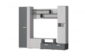 Гостиная Юна (Анкор светлый/Графит) в Урае - uray.mebel24.online | фото