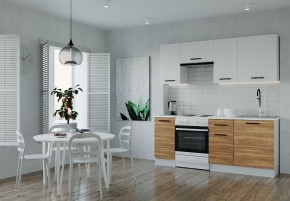 Кухонный гарнитур Лада 2000 (Стол. 38мм) в Урае - uray.mebel24.online | фото