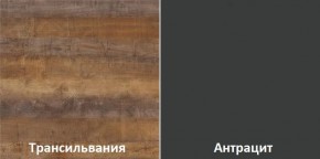 Кухонный гарнитур угловой Трансильвания 2600х1600 мм (Стол. 38 мм) в Урае - uray.mebel24.online | фото 3