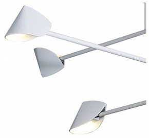 Люстра на штанге Mantra Capuccina 7570 в Урае - uray.mebel24.online | фото 4