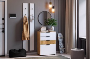 МЕБЕЛЬСОН К21 Прихожая в Урае - uray.mebel24.online | фото