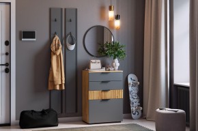 МЕБЕЛЬСОН К21 Прихожая в Урае - uray.mebel24.online | фото 2