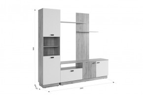 МОДИ Гостиная (модульная) белое дерево в Урае - uray.mebel24.online | фото 2