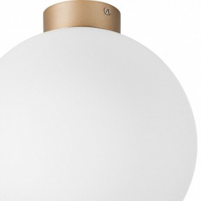 Накладной светильник Lightstar Globo 812033 в Урае - uray.mebel24.online | фото 2