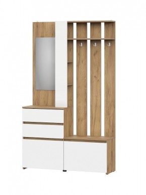 НЕКСТ 1 Вешалка с зеркалом + Шкаф 2-х ств. с ящиками в Урае - uray.mebel24.online | фото 4