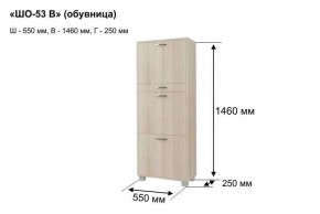ШО-53 В тумба для обуви в Урае - uray.mebel24.online | фото 8