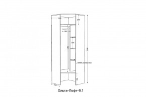 ОЛЬГА-ЛОФТ 9.1 Шкаф угловой без зеркала в Урае - uray.mebel24.online | фото 3