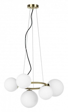 Подвесная люстра Lightstar Globo 815051 в Урае - uray.mebel24.online | фото 2