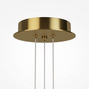 Подвесная люстра Maytoni Arana MOD401PL-L108BS3K в Урае - uray.mebel24.online | фото 7