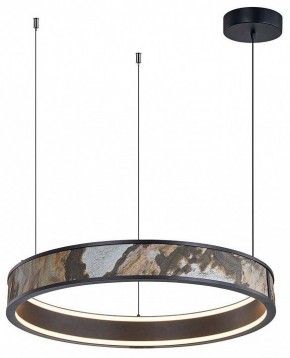 Подвесной светильник Favourite Lago 4598-1P в Урае - uray.mebel24.online | фото 2