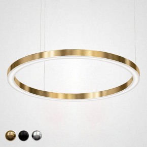 Подвесной светильник Imperiumloft Light Ring Horizontal 40.1454-120 в Урае - uray.mebel24.online | фото