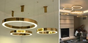 Подвесной светильник Imperiumloft Light Ring Horizontal 40.1454-50 в Урае - uray.mebel24.online | фото 2