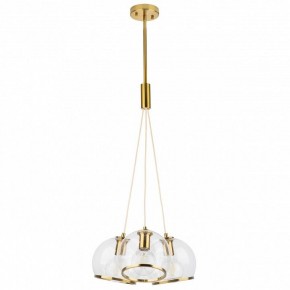 Подвесной светильник Lightstar Sferico 729031 в Урае - uray.mebel24.online | фото 2