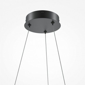 Подвесной светильник Maytoni Curve MOD241PL-L60BK в Урае - uray.mebel24.online | фото 6