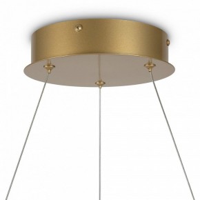 Подвесной светильник Maytoni Halo MOD100PL-L88BSK1 в Урае - uray.mebel24.online | фото 6