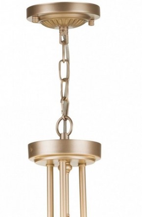 Подвесной светильник Maytoni Roma ARM006PL-06G в Урае - uray.mebel24.online | фото 5