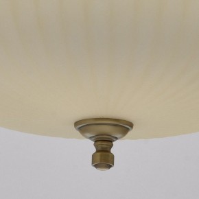 Подвесной светильник MW-Light Афродита 1 317010504 в Урае - uray.mebel24.online | фото 9